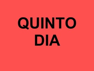 QUINTO DIA 