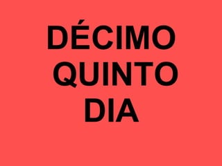 DÉCIMO  QUINTO DIA 