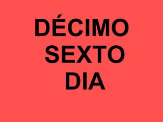 DÉCIMO  SEXTO  DIA 