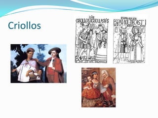 Criollos
 