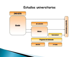 Estudios universitarios
 