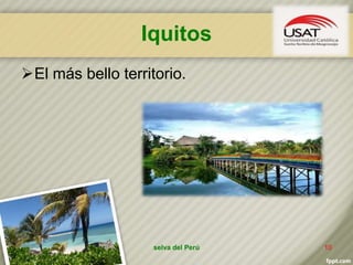 Iquitos
El más bello territorio.
selva del Perú 10
 