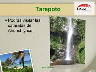 Tarapoto
Podrás visitar las
cataratas de
Ahuashiyacu.
selva del Perú 13
 