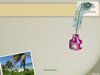 selva del Perú 22
 