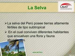 La Selva
La selva del Perú posee tierras altamente
fértiles de tipo subtropical
 En el cual conviven diferentes habitantes
que envuelven una flora y fauna
abundantes.
selva del Perú 3
 