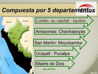 Compuesta por 5 departamentos
selva del Perú 5
Ucayali : Pucalpa
Loreto, su capital : Iquitos
San Martín: Moyobamba
Madre de Dios
Amazonas: Chachapoyas
 