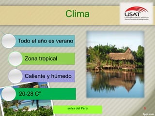 Todo el año es verano
Zona tropical
Caliente y húmedo
20-28 C°
Clima
selva del Perú 6
 