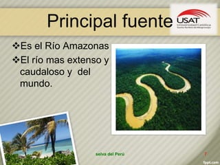 Principal fuente
Es el Río Amazonas
El río mas extenso y
caudaloso y del
mundo.
selva del Perú 7
 