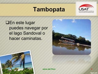 Tambopata
En este lugar
puedes navegar por
el lago Sandoval o
hacer caminatas.
selva del Perú 9
 