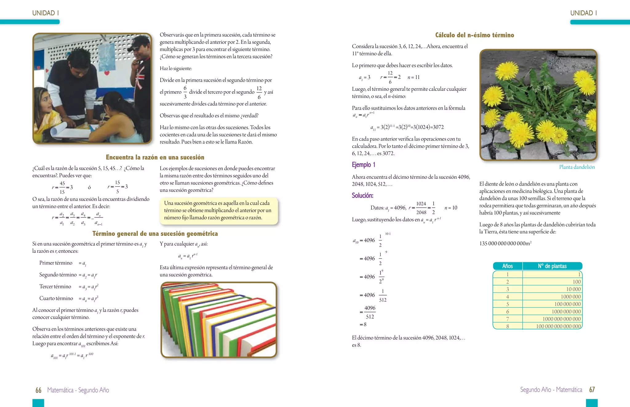 UNIDAD 1                                                                                                                                                                                                                        UNIDAD 1

                                                            Observarás que en la primera sucesión, cada término se                                                  Cálculo del n-ésimo término
                                                            genera multiplicando el anterior por 2. En la segunda,
                                                            multiplicas por 3 para encontrar el siguiente término.     Considera la sucesión 3, 6, 12, 24,. . .Ahora, encuentra el
                                                            ¿Cómo se generan los términos en la tercera sucesión?      11° término de ella.

                                                            Haz lo siguiente:
                                                                                                                       Lo primero que debes hacer es escribir los datos.
                                                                                                                                              12
                                                            Divide en la primera sucesión el segundo término por          a1 = 3	    r=            = 2 	 n = 11
                                                                                                                                              6
                                                                        6                                12            Luego, el término general te permite calcular cualquier
                                                            el primero divide el tercero por el segundo      y así
                                                                        3                                 6            término, o sea, el n-ésimo:
                                                            sucesivamente divides cada término por el anterior.
                                                                                                                       Para ello sustituimos los datos anteriores en la fórmula
                                                            Observas que el resultado es el mismo ¿verdad?             a n = a1r n −1

                                                            Haz lo mismo con las otras dos sucesiones. Todos los                a11 = 3(2)11-1 =3(2)10 =3(1024)=3072
                                                            cocientes en cada una de las sucesiones te dará el mismo
                                                            resultado. Pues bien a esto se le llama Razón.             En cada paso anterior verifica las operaciones con tu
                                                                                                                       calculadora. Por lo tanto el décimo primer término de 3,
                                                                                                                       6, 12, 24, . . . es 3072.
                                        Encuentra la razón en una sucesión
¿Cuál es la razón de la sucesión 5, 15, 45. . .? ¿Cómo la   Los ejemplos de sucesiones en donde puedes encontrar
                                                                                                                       Ejemplo 1                                                                                          Planta dandelión
encuentras?. Puedes ver que:                                la misma razón entre dos términos seguidos uno del         Ahora encuentra el décimo término de la sucesión 4096,
              45                           15               otro se llaman sucesiones geométricas. ¿Cómo defines       2048, 1024, 512, . . .                                        El diente de león o dandelión es una planta con
         r=        = 3 	ó	 r =                  =3
                                                            una sucesión geométrica?
              15                           5                                                                                                                                         aplicaciones en medicina biológica. Una planta de
O sea, la razón de una sucesión la encuentras dividiendo
                                                                                                                       Solución:                                                     dandelión da unas 100 semillas. Si el terreno que la
                                                              Una sucesión geométrica es aquella en la cual cada                                              1
                                                                                                                                                             1024                    rodea permitiera que todas germinaran, un año después
un término entre el anterior. Es decir:                                                                                         Datos: a1 = 4096,	 r =      = 	 n = 10
              a a a             a                             término se obtiene multiplicando el anterior por un                                     2048 2                         habría 100 plantas, y así sucesivamente
	          r = 2 = 3 = 4 = ... n                              número fijo llamado razón geométrica o razón.            Luego, sustituyendo los datos en an = a1 r n-1
              a1 a 2 a 3       a n −1                                                                                                                                                Luego de 8 años las plantas de dandelión cubrirían toda
                                   Término general de una sucesión geométrica                                                             10 -1                                      la Tierra, ésta tiene una superficie de:
                                                                                                                                    1
                                                                                                                       a10 = 4096
Si en una sucesión geométrica el primer término es a1 y     Y para cualquier an, así:                                               2                                                135 000 000 000 000m2
la razón es r, entonces:                                                                                                                  9
                                                                     an = a1 rn-1                                                   1
                                                                                                                          = 4096
   Primer término	 = a1                                                                                                             2
                                                            Esta última expresión representa el término general de                                                                             Años             N° de plantas
   Segundo término	 = a2 = a1r                              una sucesión geométrica.                                             19                                                             1                                1
                                                                                                                          = 4096 9
                                                                                                                                 2                                                              2                              100
   Tercer término	        = a3 = a1r2                                                                                                                                                           3                           10 000
                                                                                                                                      1
                                                                                                                          = 4096                                                                4                        1000 000
   Cuarto término	 = a4 = a1r3                                                                                                      512
                                                                                                                                                                                                5                      100 000 000
Al conocer el primer término a1 y la razón r, puedes                                                                       4096
                                                                                                                          =                                                                     6                    1000 000 000
conocer cualquier término.                                                                                                  512                                                                 7                1000 000 000 000
                                                                                                                          =8                                                                    8              100 000 000 000 000
Observa en los términos anteriores que existe una
relación entre el orden del término y el exponente de r.                                                               El décimo término de la sucesión 4096, 2048, 1024,. . .
Luego para encontrar a101 escribimos Así:                                                                              es 8.
         a101 = a1r 101-1 = a1 r 100




 66 Matemática - Segundo Año                                                                                                                                                                            Segundo Año - Matemática 67
 