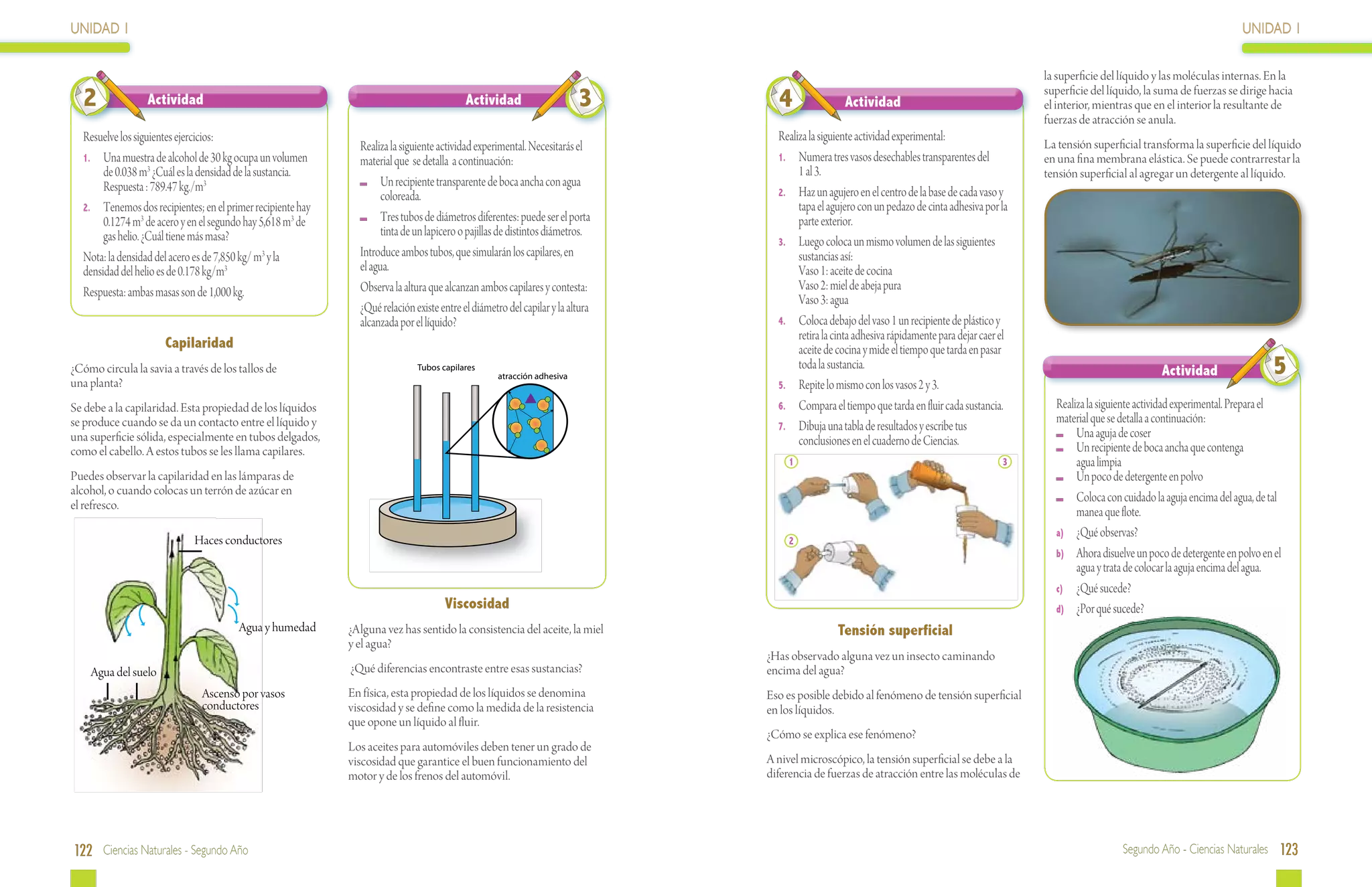 UNIDAD 1                                                                                                                                                                                                                                        UNIDAD 1

                                                                                                                                                                                                 la superficie del líquido y las moléculas internas. En la
  2              Actividad                                                                 Actividad                     3        4                Actividad
                                                                                                                                                                                                 superficie del líquido, la suma de fuerzas se dirige hacia
                                                                                                                                                                                                 el interior, mientras que en el interior la resultante de
                                                                                                                                                                                                 fuerzas de atracción se anula.
  Resuelve los siguientes ejercicios:                                                                                             Realiza la siguiente actividad experimental:
                                                               Realiza la siguiente actividad experimental. Necesitarás el                                                                       La tensión superficial transforma la superficie del líquido
  1.	 Una muestra de alcohol de 30 kg ocupa un volumen         material que se detalla a continuación:                            1.	 Numera tres vasos desechables transparentes del            en una fina membrana elástica. Se puede contrarrestar la
       de 0.038 m3 ¿Cuál es la densidad de la sustancia.                                                                               1 al 3.                                                   tensión superficial al agregar un detergente al líquido.
       Respuesta : 789.47 kg./m3                                 	 Un recipiente transparente de boca ancha con agua
                                                                     coloreada.                                                   2.	 Haz un agujero en el centro de la base de cada vaso y
  2.	 Tenemos dos recipientes; en el primer recipiente hay                                                                             tapa el agujero con un pedazo de cinta adhesiva por la
       0.1274 m3 de acero y en el segundo hay 5,618 m3 de        	 Tres tubos de diámetros diferentes: puede ser el porta              parte exterior.
       gas helio. ¿Cuál tiene más masa?                              tinta de un lapicero o pajillas de distintos diámetros.
                                                                                                                                  3. 	 Luego coloca un mismo volumen de las siguientes
  Nota: la densidad del acero es de 7,850 kg/ m3 y la          Introduce ambos tubos, que simularán los capilares, en                  sustancias así:
  densidad del helio es de 0.178 kg/m3                         el agua.                                                                Vaso 1: aceite de cocina
  Respuesta: ambas masas son de 1,000 kg.                      Observa la altura que alcanzan ambos capilares y contesta:              Vaso 2: miel de abeja pura
                                                                                                                                       Vaso 3: agua
                                                               ¿Qué relación existe entre el diámetro del capilar y la altura
                                                               alcanzada por el líquido?                                          4. 	 Coloca debajo del vaso 1 un recipiente de plástico y
                                                                                                                                       retira la cinta adhesiva rápidamente para dejar caer el
                      Capilaridad                                                                                                      aceite de cocina y mide el tiempo que tarda en pasar
¿Cómo circula la savia a través de los tallos de
una planta?
                                                                              Tubos capilares
                                                                                                    atracción adhesiva
                                                                                                                                       toda la sustancia.                                                                   Actividad                   5
                                                                                                                                  5. 	 Repite lo mismo con los vasos 2 y 3.

Se debe a la capilaridad. Esta propiedad de los líquidos                                                                          6. 	 Compara el tiempo que tarda en fluir cada sustancia.        Realiza la siguiente actividad experimental. Prepara el
se produce cuando se da un contacto entre el líquido y                                                                                                                                             material que se detalla a continuación:
                                                                                                                                  7. 	 Dibuja una tabla de resultados y escribe tus
una superficie sólida, especialmente en tubos delgados,                                                                                                                                              	 Una aguja de coser
                                                                                                                                       conclusiones en el cuaderno de Ciencias.                      	 Un recipiente de boca ancha que contenga
como el cabello. A estos tubos se les llama capilares.
                                                                                                                                     1                                                      3      	 agua limpia
Puedes observar la capilaridad en las lámparas de                                                                                                                                                    	 Un poco de detergente en polvo
alcohol, o cuando colocas un terrón de azúcar en
                                                                                                                                                                                                     	 Coloca con cuidado la aguja encima del agua, de tal
el refresco.
                                                                                                                                                                                                        manea que flote.
                                                                                                                                                                                                   a)	 ¿Qué observas?
                             Haces conductores                                                                                       2
                                                                                                                                                                                                   b)	 Ahora disuelve un poco de detergente en polvo en el
                                                                                                                                                                                                        agua y trata de colocar la aguja encima del agua.
                                                                                                                                                                                                   c)	 ¿Qué sucede?
                                                                                     Viscosidad                                                                                                    d)	 ¿Por qué sucede?
                                        Agua y humedad       ¿Alguna vez has sentido la consistencia del aceite, la miel                         Tensión superficial
                                                             y el agua?
                                                                                                                                ¿Has observado alguna vez un insecto caminando
    Agua del suelo                                           ¿Qué diferencias encontraste entre esas sustancias?                encima del agua?
                               Ascenso por vasos             En física, esta propiedad de los líquidos se denomina              Eso es posible debido al fenómeno de tensión superficial
                               conductores                   viscosidad y se define como la medida de la resistencia            en los líquidos.
                                                             que opone un líquido al fluir.
                                                                                                                                ¿Cómo se explica ese fenómeno?
                                                             Los aceites para automóviles deben tener un grado de
                                                             viscosidad que garantice el buen funcionamiento del                A nivel microscópico, la tensión superficial se debe a la
                                                             motor y de los frenos del automóvil.                               diferencia de fuerzas de atracción entre las moléculas de




122 Ciencias Naturales - Segundo Año                                                                                                                                                                               Segundo Año - Ciencias Naturales 123
 