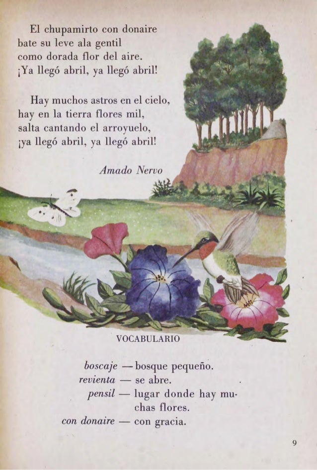 Imagen relacionada