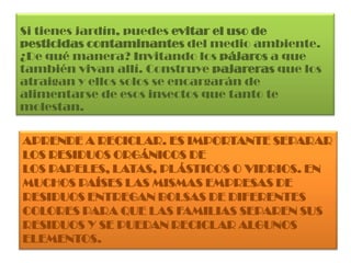 Si tienes jardín, puedes evitar el uso de pesticidas contaminantes del medio ambiente. ¿De qué manera? Invitando los pájaros a que también vivan allí. Construye pajareras que los atraigan y ellos solos se encargarán de alimentarse de esos insectos que tanto te molestan.Aprende a reciclar. Es importante separar los residuos orgánicos de los papeles, latas, plásticos o vidrios. En muchos países las mismas empresas de residuos entregan bolsas de diferentes colores para que las familias separen sus residuos y se puedan reciclar algunos elementos.