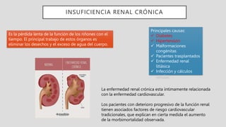 INSUFICIENCIA RENAL CRÓNICA
Es la pérdida lenta de la función de los riñones con el
tiempo. El principal trabajo de estos órganos es
eliminar los desechos y el exceso de agua del cuerpo.
Principales causas:
 Diabetes
 Hipertensión
 Malformaciones
congénitas
 Pacientes trasplantados
 Enfermedad renal
litiásica
 Infección y cálculos
renales
La enfermedad renal crónica esta íntimamente relacionada
con la enfermedad cardiovascular.
Los pacientes con deterioro progresivo de la función renal
tienen asociados factores de riesgo cardiovascular
tradicionales, que explican en cierta medida el aumento
de la morbimortalidad observada.
 