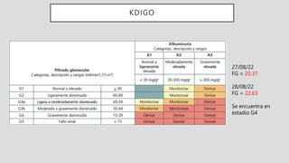 KDIGO
27/08/22
FG = 20.37
28/08/22
FG = 22.63
Se encuentra en
estadio G4
 