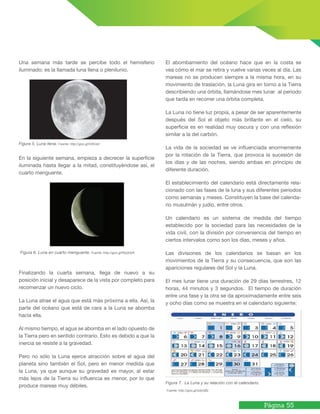 Página 55
Una semana más tarde se percibe todo el hemisferio
iluminado: es la llamada luna llena o plenilunio.
Figura 5. Luna llena. Fuente: http://goo.gl/O3lUs8
En la siguiente semana, empieza a decrecer la superficie
iluminada hasta llegar a la mitad, constituyéndose así, el
cuarto menguante.
Figura 6. Luna en cuarto menguante. Fuente: http://goo.gl/PpQOzR
Finalizando la cuarta semana, llega de nuevo a su
posición inicial y desaparece de la vista por completo para
recomenzar un nuevo ciclo.
La Luna atrae el agua que está más próxima a ella. Así, la
parte del océano que está de cara a la Luna se abomba
hacia ella.
Al mismo tiempo, el agua se abomba en el lado opuesto de
la Tierra pero en sentido contrario. Esto es debido a que la
inercia se resiste a la gravedad.
Pero no sólo la Luna ejerce atracción sobre el agua del
planeta sino también el Sol, pero en menor medida que
la Luna, ya que aunque su gravedad es mayor, al estar
más lejos de la Tierra su influencia es menor, por lo que
produce mareas muy débiles.
El abombamiento del océano hace que en la costa se
vea cómo el mar se retira y vuelve varias veces al día. Las
mareas no se producen siempre a la misma hora, en su
movimiento de traslación, la Luna gira en torno a la Tierra
describiendo una órbita, llamándose mes lunar al periodo
que tarda en recorrer una órbita completa.
La Luna no tiene luz propia, a pesar de ser aparentemente
después del Sol el objeto más brillante en el cielo, su
superficie es en realidad muy oscura y con una reflexión
similar a la del carbón.
La vida de la sociedad se ve influenciada enormemente
por la rotación de la Tierra, que provoca la sucesión de
los días y de las noches, siendo ambas en principio de
diferente duración.
El establecimiento del calendario está directamente rela-
cionado con las fases de la luna y sus diferentes periodos
como semanas y meses. Constituyen la base del calenda-
rio musulmán y judío, entre otros.
Un calendario es un sistema de medida del tiempo
establecido por la sociedad para las necesidades de la
vida civil, con la división por conveniencia del tiempo en
ciertos intervalos como son los días, meses y años.
Las divisiones de los calendarios se basan en los
movimientos de la Tierra y su consecuencia, que son las
apariciones regulares del Sol y la Luna.
El mes lunar tiene una duración de 29 días terrestres, 12
horas, 44 minutos y 3 segundos. El tiempo de duración
entre una fase y la otra se da aproximadamente entre seis
y ocho días como se muestra en el calendario siguiente:
Figura 7. La Luna y su relación con el calendario.
Fuente: http://goo.gl/odyGBz
 