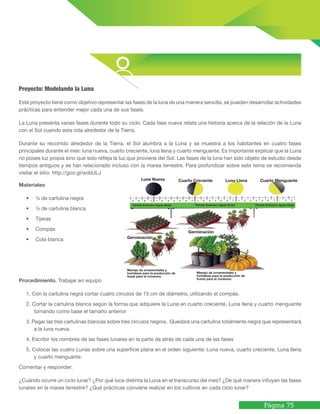Página 75
Proyecto: Modelando la Luna
Este proyecto tiene como objetivo representar las fases de la luna de una manera sencilla, se pueden desarrollar actividades
prácticas para entender mejor cada una de sus fases.
La Luna presenta varias fases durante todo su ciclo. Cada fase nueva relata una historia acerca de la relación de la Luna
con el Sol cuando esta rota alrededor de la Tierra.
Durante su recorrido alrededor de la Tierra, el Sol alumbra a la Luna y se muestra a los habitantes en cuatro fases
principales durante el mes: luna nueva, cuarto creciente, luna llena y cuarto menguante. Es importante explicar que la Luna
no posee luz propia sino que solo refleja la luz que proviene del Sol. Las fases de la luna han sido objeto de estudio desde
tiempos antiguos y se han relacionado incluso con la marea terrestre. Para profundizar sobre este tema se recomienda
visitar el sitio: http://goo.gl/wddJLJ
Materiales
• ¼ de cartulina negra
• ¼ de cartulina blanca
• Tijeras
• Compás
• Cola blanca
Procedimiento. Trabajar en equipo
1. Con la cartulina negra cortar cuatro círculos de 15 cm de diámetro, utilizando el compás.
2. Cortar la cartulina blanca según la forma que adquiere la Luna en cuarto creciente, Luna llena y cuarto menguante
tomando como base el tamaño anterior
3. Pegar las tres cartulinas blancas sobre tres círculos negros. Quedará una cartulina totalmente negra que representará
a la luna nueva.
4. Escribir los nombres de las fases lunares en la parte de atrás de cada una de las fases
5. Colocar las cuatro Lunas sobre una superficie plana en el orden siguiente: Luna nueva, cuarto creciente, Luna llena
y cuarto menguante.
Comentar y responder:
¿Cuándo ocurre un ciclo lunar? ¿Por qué luce distinta la Luna en el transcurso del mes? ¿De qué manera influyen las fases
lunares en la marea terrestre? ¿Qué prácticas conviene realizar en los cultivos en cada ciclo lunar?
¼ de cartulina blanca
Cuarto MenguanteLuna LlenaCuarto CrecienteLuna Nueva
Germinación
Germinación
Manejo de ornamentales y
hortalizas para la producción de
hojas para el consumo
Manejo de ornamentales y
hortalizas para la producción de
frutos para el consumo
Periodo Extensivo Aguas AbajoPeriodo Extensivo Aguas ArribaPeriodo Extensivo Aguas Abajo
 
