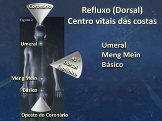 5
Umeral
Meng Mein
Básico
Coronário
Umeral
Básico
Refluxo (Dorsal)
Centro vitais das costas
Meng Mein
Oposto do Coronário
 