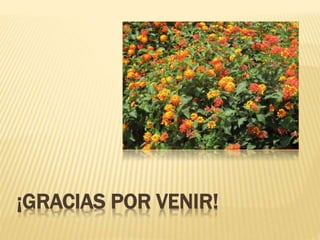 ¡GRACIAS POR VENIR!
 