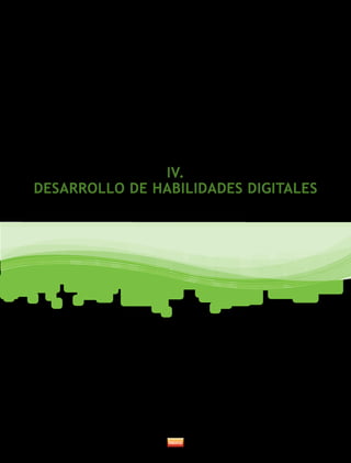 IV. 
DESARROLLO DE HABILIDADES DIGITALES 
 