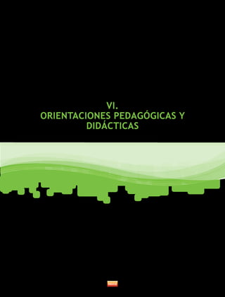 VI. 
ORIENTACIONES PEDAGÓGICAS Y 
DIDÁCTICAS 
 