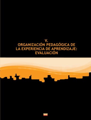 V. 
ORGANIZACIÓN PEDAGÓGICA DE 
LA EXPERIENCIA DE APRENDIZAJE: 
EVALUACIÓN 
 