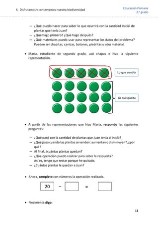 4. Disfrutamos y conservamos nuestra biodiversidad
11
Educación Primaria
2.o
grado
— ¿Qué puedo hacer para saber lo que ocurrirá con la cantidad inicial de
plantas que tenía Juan?
— ¿Qué hago primero? ¿Qué hago después?
— ¿Qué materiales puedo usar para representar los datos del problema?
Pueden ser chapitas, canicas, botones, piedritas u otro material.
 María, estudiante de segundo grado, usó chapas e hizo la siguiente
representación.
 A partir de las representaciones que hizo María, respondo las siguientes
preguntas:
— ¿Qué pasó con la cantidad de plantas que Juan tenía al inicio?
— ¿Qué pasa cuando las plantas se venden: aumentan o disminuyen?, ¿por
qué?
— Al final, ¿cuántas plantas quedan?
— ¿Qué operación puedo realizar para saber la respuesta?
Así es, tengo que restar porque he quitado.
— ¿Cuántas plantas le quedan a Juan?
 Ahora, completo con números la operación realizada.
 Finalmente digo:
20 – =
Lo que vendió
Lo que queda
 