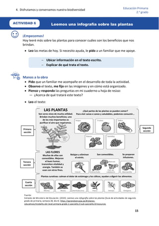 4. Disfrutamos y conservamos nuestra biodiversidad
15
Educación Primaria
2.o
grado
¡Empecemos!
Hoy leeré más sobre las plantas para conocer cuáles son los beneficios que nos
brindan.
 Leo las metas de hoy. Si necesito ayuda, le pido a un familiar que me apoye.
Manos a la obra
 Pido que un familiar me acompañe en el desarrollo de toda la actividad.
 Observo el texto, me fijo en las imágenes y en cómo está organizado.
 Pienso y respondo las preguntas en mi cuaderno u hoja de reúso:
— ¿Acerca de qué tratará este texto?
 Leo el texto:
 Ubicar información en el texto escrito.
 Explicar de qué trata el texto.
Segunda
sección
Primera
sección
Tercera
sección
Cuarta
sección
LAS PLANTAS
Son seres vivos de mucha utilidad.
Brindan muchos beneficios; uno
de los más importantes es
purificar el aire que respiramos.
LAS FLORES
Muchas de ellas son
comestibles. Mejoran
el buen humor,
transmiten vitalidad y
energía. También se
usan con otros fines.
¿Qué partes de las plantas se pueden comer?
Para vivir sanas o sanos y saludables, podemos consumir…
Relajan y eliminan
el estrés.
Son comestibles. Se preparan
infusiones.
Plantas curativas: calman el dolor de estómago y los cólicos, ayudan a digerir los alimentos.
Leemos una infografía sobre las plantas
ACTIVIDAD 6
 