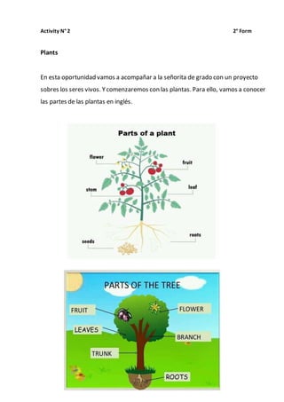 Activity N° 2 2° Form
Plants
En esta oportunidad vamos a acompañar a la señorita de grado con un proyecto
sobres los seres...