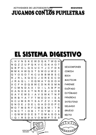 ACTIVIDADES DE LECTOESCRITURA SEGUNDO
GRADO
18
DESCOMPONER
COMIDA
BOCA
MASTICAR
FARINGE
ESÓFAGO
ESTÓMAGO
PÁNCREAS
INTESTINO
DELGADO
GRUESO
RECTO
L H V N S K E W D Q K T W Q H
N Q Z Z U P Q K V C G K A O T
Q B P O L G S U C Y J C F D K
M M K H W Q S T S W O U W E I
Q Y O G O T K C U B B M B S C
R J R L X Q O C J O R E E C O
J R A Q L I O Q W A Y G D O H
X C F H D Q B W C D N R S M N
F C M N D A X I O I L A B P H
O A N O K X T N R E B J U O B
G A Y E W S I A V S W K T N P
B R B Y A T F T W O O H I E A
G C U M S R Y S A F Z V I R N
Q N O E J D E L G A D O O P C
W O T M S R F C M G X W I T R
V N C T I O B I T O Y M I I E
I Q W W D D E S T O M A G O A
I Q I R S D A V O M W P T E S
 