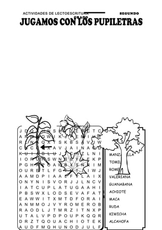 ACTIVIDADES DE LECTOESCRITURA SEGUNDO
GRADO
45
PLANTAS
CURATIVAS
MANZANILLA
TOMILLO
ROMERO
VALERIANA
GUANABANA
ACHIOTE
MACA
RUDA
KIWICHA
ALCAHOFA
J D Q X H N S H I Z E R C T C
A N W M Q W I K J F E M I H P
R L N A Q X T S K B S A V J W
C N C C U X A V J A I N A Q D
K U I A B L U J T C H Z L N I
I O R U H S W N B B Y A E K P
P G H A P O A W B X S N R I M
O U R E T L F G T N T I I W J
A A M D P I A A L F V L A I X
O N Y N I S V O R J J L N C V
I A T C U P L A T U G A A H I
P B S W X L O D S E V A F A T
E A W W I T X M T D F O R A I
A N M M O J V Y R O M E R O B
R A O D L J T M R Z I T N X P
U T A L V P D P O U P K Q Q R
D R Z T Q O U A C H I O T E K
A U D F M Q H U N O D J U L F
 