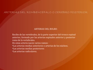 ARTERIAS DEL ROMBENCEFALO O CEREBRO POSTERIOR
ARTERIAS DEL BULBO:
Recibe de las vertebrales, de la parte superior del tronco espinal
anterior, formado por las arterias espinales anterior y posterior
rama de la vertebrales.
De estas arteria nacen varios ramos:
•Las arterias medias anteriores o arterias de los núcleos.
•Las arterias medias posteriores
•Las arterias radiculares.
 