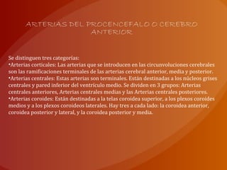 ARTERIAS DEL PROCENCEFALO O CEREBRO
ANTERIOR
Se distinguen tres categorías:
•Arterias corticales: Las arterias que se introducen en las circunvoluciones cerebrales
son las ramificaciones terminales de las arterias cerebral anterior, media y posterior.
•Arterias centrales: Estas arterias son terminales. Están destinadas a los núcleos grises
centrales y pared inferior del ventrículo medio. Se dividen en 3 grupos: Arterias
centrales anteriores, Arterias centrales medias y las Arterias centrales posteriores.
•Arterias coroides: Están destinadas a la telas coroidea superior, a los plexos coroides
medios y a los plexos coroideos laterales. Hay tres a cada lado: la coroidea anterior,
coroidea posterior y lateral, y la coroidea posterior y media.
 