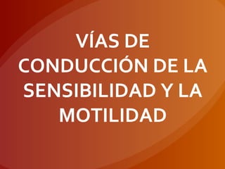 VÍAS DE
CONDUCCIÓN DE LA
SENSIBILIDAD Y LA
MOTILIDAD
 