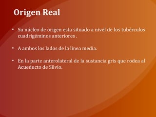 Origen Real
• Su núcleo de origen esta situado a nivel de los tubérculos
cuadrigéminos anteriores .
• A ambos los lados de la linea media.
• En la parte anterolateral de la sustancia gris que rodea al
Acueducto de Silvio.
 