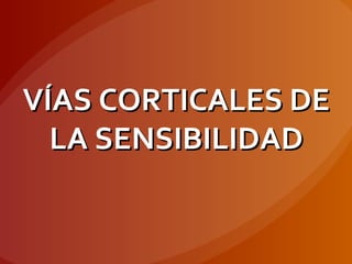VÍAS CORTICALES DEVÍAS CORTICALES DE
LA SENSIBILIDADLA SENSIBILIDAD
 