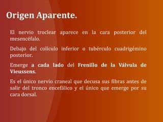 Origen Aparente.
El nervio troclear aparece en la cara posterior del
mesencéfalo.
Debajo del colículo inferior o tubérculo cuadrigémino
posterior.
Emerge a cada lado del Frenillo de la Válvula de
Vieussens.
Es el único nervio craneal que decusa sus fibras antes de
salir del tronco encefálico y el único que emerge por su
cara dorsal.
 