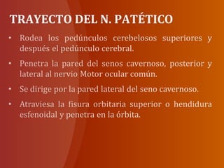 TRAYECTO DEL N. PATÉTICO
 