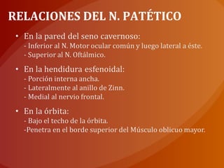 RELACIONES DEL N. PATÉTICO
 