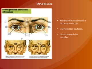 EXPLORACIÓN
• Movimientos extrínsecos e
intrínsecos del ojo.
• Movimientos oculares.
• Direcciones de las
miradas.
 