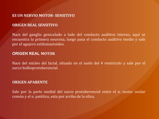ES UN NERVIO MOTOR- SENSITIVO
ORIGEN REAL SENSITIVO
Nace del ganglio geniculado a lado del conducto auditivo interno, aquí se
encuentra la primera neurona, luego pasa el conducto auditivo medio y sale
por el agujero estilomastoideo.
ORIGEN REAL MOTOR
Nace del núcleo del facial, situado en el suelo del 4 ventrículo y sale por el
surco bulboprotuberencial.
ORIGEN APARENTE
Sale por la parte medial del surco protuberencial entre el n. motor ocular
común y el n. patético, esta por arriba de la oliva.
 