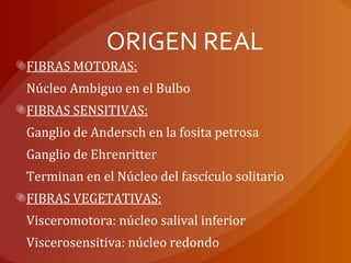 ORIGEN REAL
FIBRAS MOTORAS:
Núcleo Ambiguo en el Bulbo
FIBRAS SENSITIVAS:
Ganglio de Andersch en la fosita petrosa
Ganglio de Ehrenritter
Terminan en el Núcleo del fascículo solitario
FIBRAS VEGETATIVAS:
Visceromotora: núcleo salival inferior
Viscerosensitiva: núcleo redondo
 