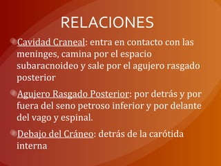 RELACIONES
Cavidad Craneal: entra en contacto con las
meninges, camina por el espacio
subaracnoideo y sale por el agujero rasgado
posterior
Agujero Rasgado Posterior: por detrás y por
fuera del seno petroso inferior y por delante
del vago y espinal.
Debajo del Cráneo: detrás de la carótida
interna
 