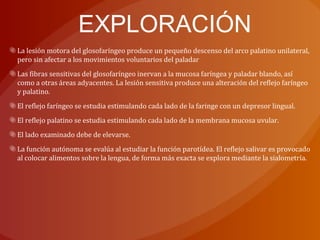 EXPLORACIÓN
La lesión motora del glosofaríngeo produce un pequeño descenso del arco palatino unilateral,
pero sin afectar a los movimientos voluntarios del paladar
Las fibras sensitivas del glosofaríngeo inervan a la mucosa faríngea y paladar blando, así
como a otras áreas adyacentes. La lesión sensitiva produce una alteración del reflejo faríngeo
y palatino.
El reflejo faríngeo se estudia estimulando cada lado de la faringe con un depresor lingual.
El reflejo palatino se estudia estimulando cada lado de la membrana mucosa uvular.
El lado examinado debe de elevarse.
La función autónoma se evalúa al estudiar la función parotídea. El reflejo salivar es provocado
al colocar alimentos sobre la lengua, de forma más exacta se explora mediante la sialometría.
 