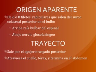 ORIGEN APARENTE
De 6 o 8 filetes radiculares que salen del surco
colateral posterior en el bulbo
Arriba raíz bulbar del espinal
Abajo nervio glosofaríngeo
TRAYECTO
Sale por el agujero rasgado posterior
Atraviesa el cuello, tórax, y termina en el abdomen
 