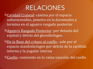 RELACIONES
Cavidad Craneal: camina por el espacio
subaracnoideo, penetra en la duramadre y
termina en el agujero rasgado posterior
Agujero Rasgado Posterior: por delante del
espinal y detrás del glosofaríngeo
De la Base del cráneo al cuello : sale por el
espacio maxilofaríngeo por detrás de la carótida
interna y la yugular interna
Cuello: contenido en la vaina vascular del cuello
 