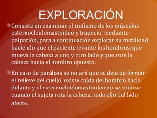 EXPLORACIÓN
Consiste en examinar el trofismo de los músculos
esternocleidomastoideo y trapecio, mediante
palpación, para a continuación explorar su motilidad
haciendo que el paciente levante los hombros, que
mueva la cabeza a uno y otro lado y que rote la
cabeza hacia el hombro opuesto.
En caso de parálisis se notará que se deja de formar
el relieve del cuello, existe caída del hombro hacia
delante y el esternocleidomastoideo no se contrae
cuando el sujeto rota la cabeza, todo ello del lado
afecto.
 