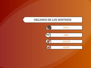 ORGANOS DE LOS SENTIDOS
VISTA
OIDO
OLFATO
GUSTO
 