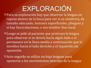EXPLORACIÓN
Para su exploración hay que observar la lengua en
reposo dentro de la boca para ver si es simétrica, de
tamaño adecuado, lesiones superficiales, pliegues y
si hay fasciculaciones, o sea temblor fino local.
Luego se pide al paciente que protruya la lengua
para observar si se desvía hacia algún lado o si
permanece en la línea media a continuación que la
movilice hacia el lado derecho y el izquierdo sin
oposición.
Acto seguido se utiliza un baja lenguas para
oponerse a los movimientos laterales de la lengua
 