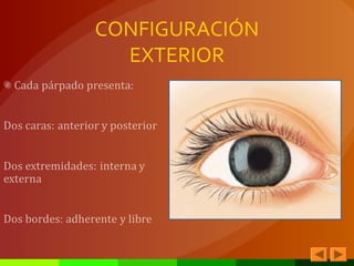 CONFIGURACIÓN
EXTERIOR
 